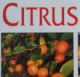 d - zacinajucim citrusarom